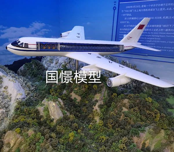 大悟县飞机模型